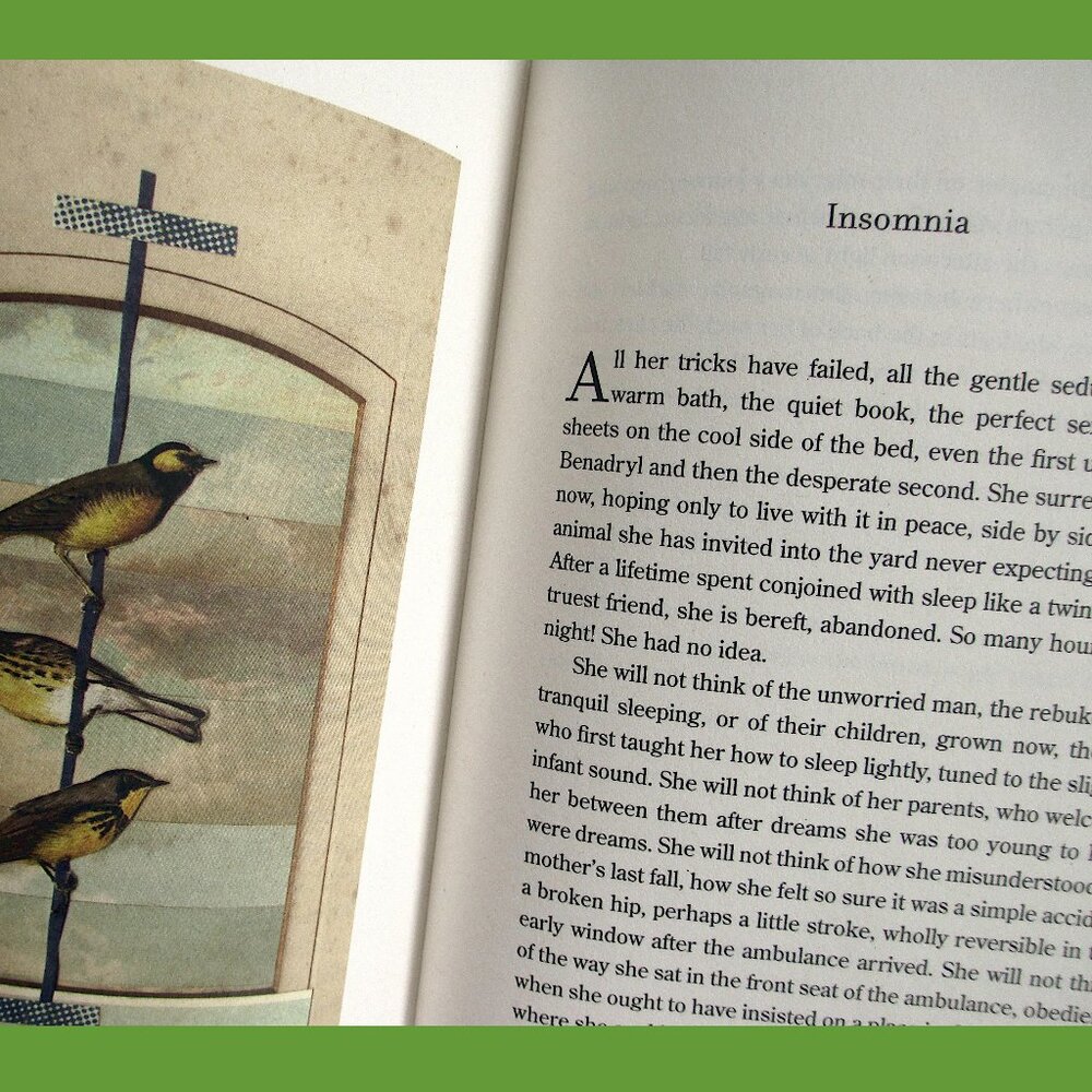 Book - Late Migrations: A Natural History of Love & Loss, by Margaret Renkl - Picture 4 of 13